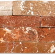 Golden White 6x24 Ledge