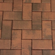 Cocoa Blend