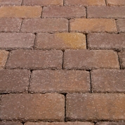 Golden Brown Blend