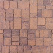 Chestnut