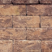 Chestnut Antique