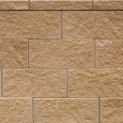 Buckskin Straight