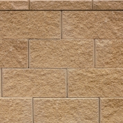 Buckskin Straight