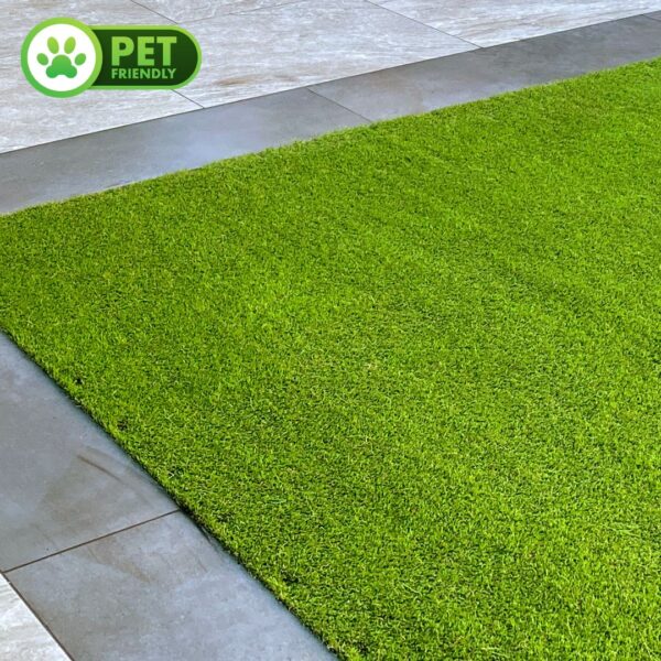 Premium Artificial Grass - Autumn Color - Image 3