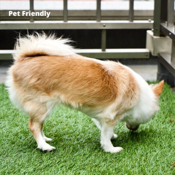 Premium Artificial Grass - Summer Color - Image 9