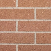 Carolina Rose Sand Velour