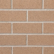 Nutmeg Velour