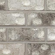 Silverbrook Full Extruded