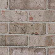 Silver Glen Papercut