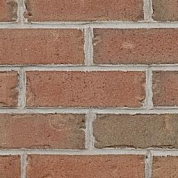 Provincetown Wirecut