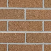 Burnt Orange Wirecut (W23)