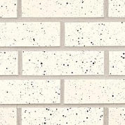 Oyster White/Speck Glazed (G825)