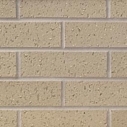 Silver Birch Rough (R35)