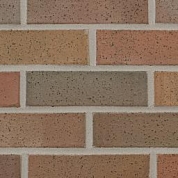 Autumn Haze Ironspot Smooth