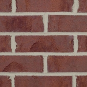 Belle Harbor Rawhide