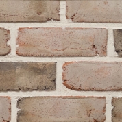 Oyster Pointe Molded