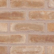 250 Terra Blend Mold