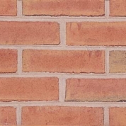 30 Rose Full Range Mold