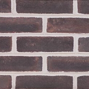 450 Hunt Valley Mold