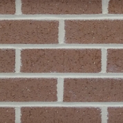 74 Chestnut Extruded