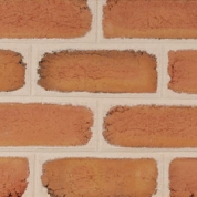 Foxcraft Antique Mold