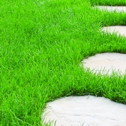 Stepping-Stones-autumn