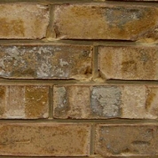 Williamsburg Inca Gold