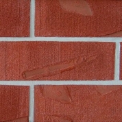 Charleston Sand Hills Red