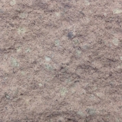 A14 Coral