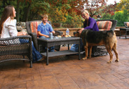 Durable pavers