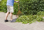 Paver Maintenance